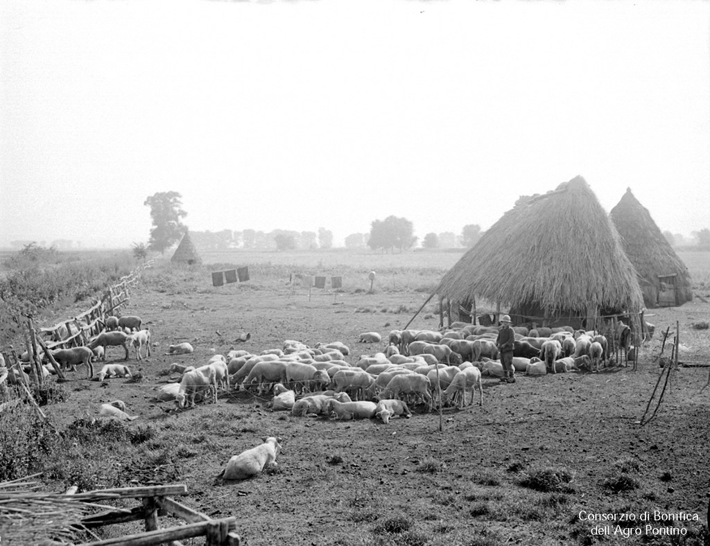 Capanni di pastori di Jenne all’Agro Pontino